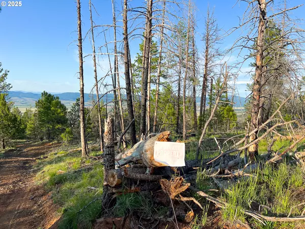 John Day, OR 97845,FS Rd 613