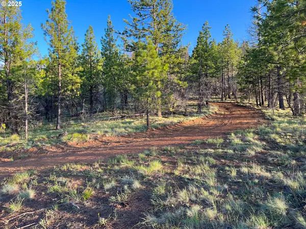 John Day, OR 97845,FS Rd 613