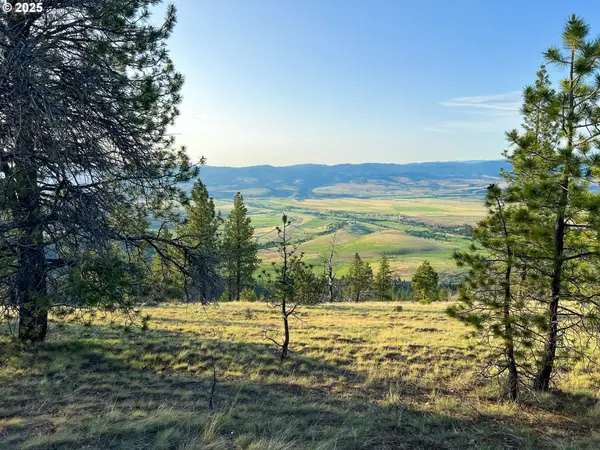 John Day, OR 97845,FS Rd 613