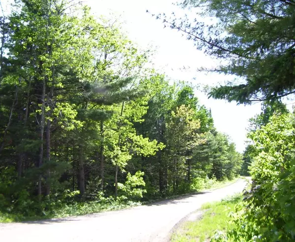 Muskoka Lakes, ON P0B 1G0,1839 Bear Cave RD