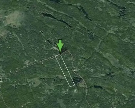 Muskoka Lakes, ON P0B 1G0,1839 Bear Cave RD