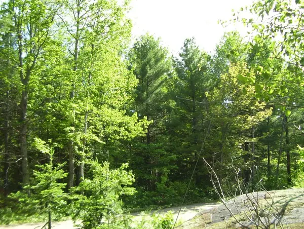 Muskoka Lakes, ON P0B 1G0,1839 Bear Cave RD