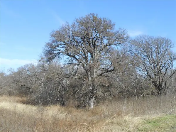 Hubbard, TX 76648,117 PR 354 N