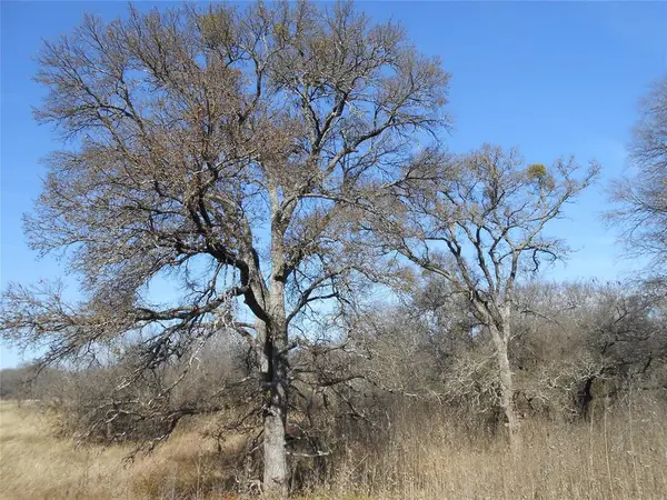 Hubbard, TX 76648,117 PR 354 N