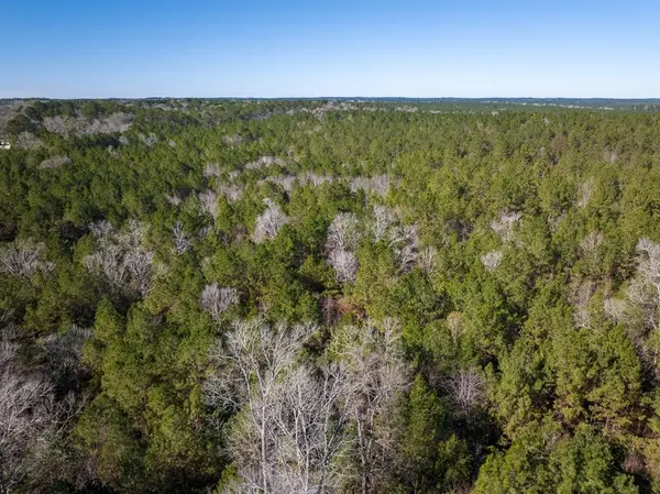 Colmesneil, TX 75938,3320 Farm to Market 3065