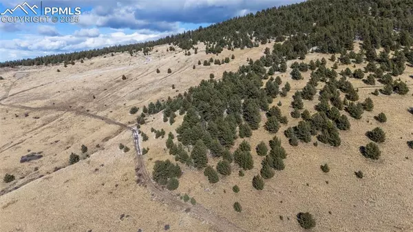 Cripple Creek, CO 80813,Private RD