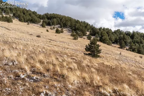 Cripple Creek, CO 80813,Private RD