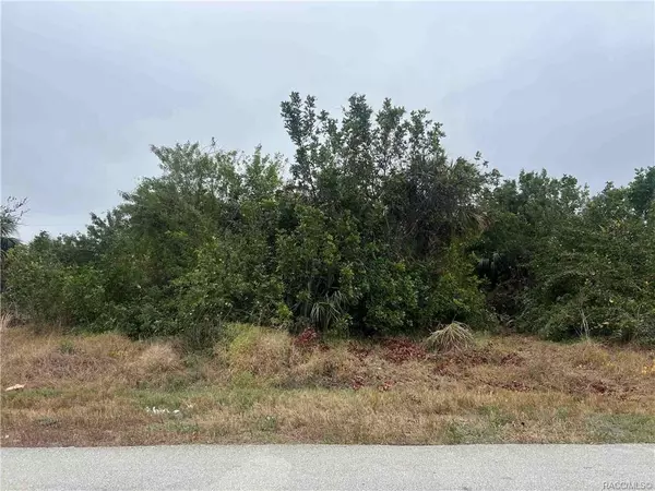 Port Charlotte, FL 33952,657 Cape Ter NW