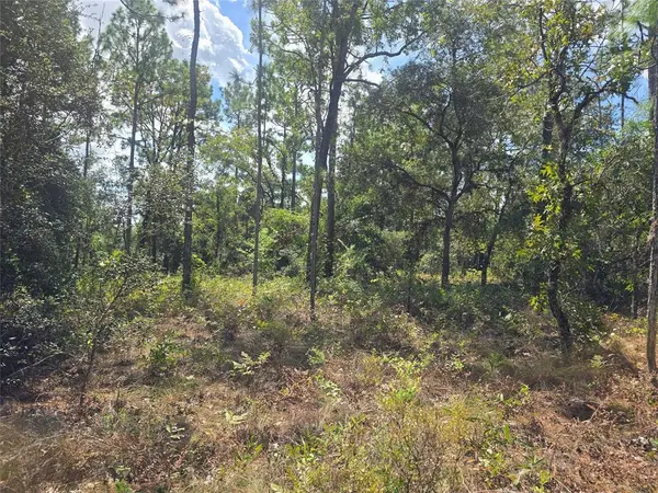 Citrus Springs, FL 34434,7441 N June Ter