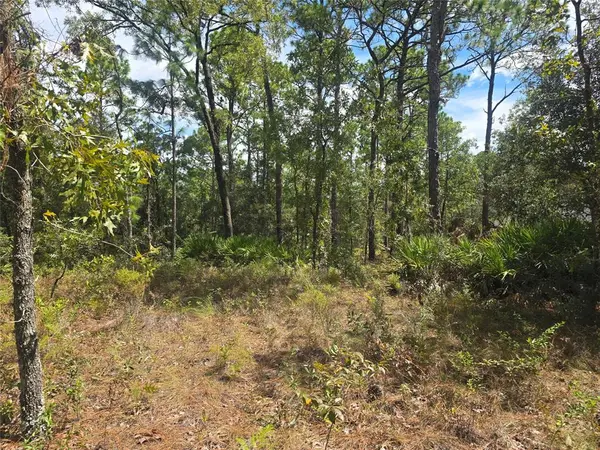 Citrus Springs, FL 34434,7441 N June Ter