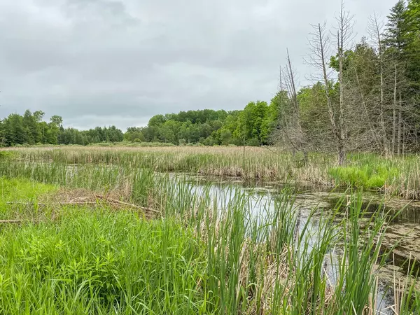 Lanark Highlands, ON K0G 1K0,1477 Watsons Corners RD