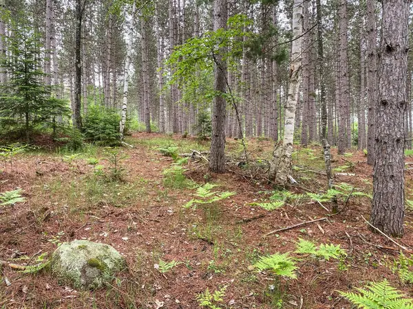 1477 Watsons Corners RD, Lanark Highlands, ON K0G 1K0