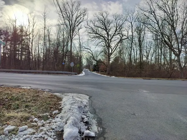 147 Rocktown Rd, East Amwell Twp., NJ 08551