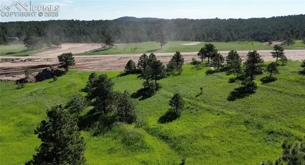 Colorado Springs, CO 80908,17629 Emerson Cliff CT