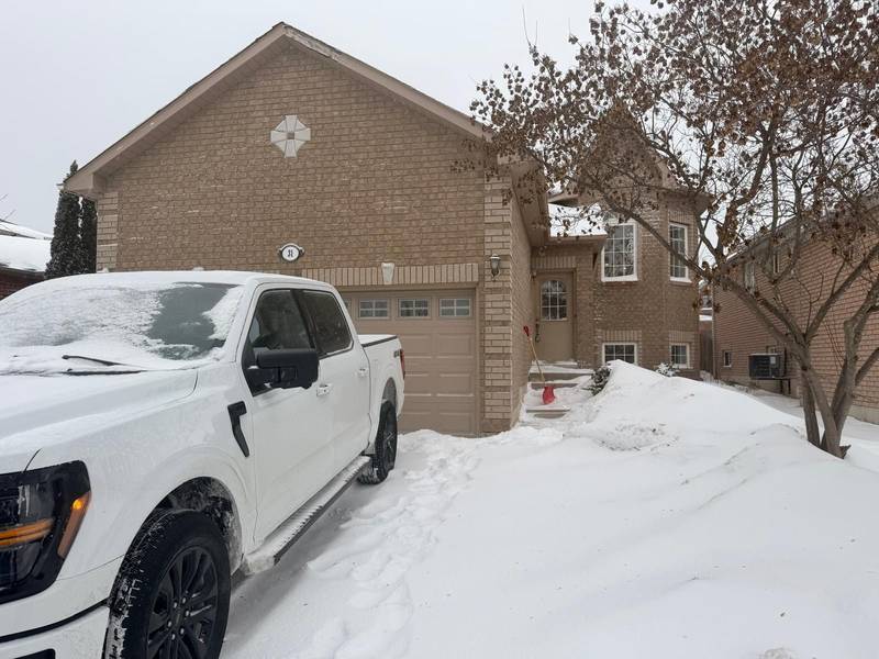 31 Seline CRES #Lower, Barrie, ON L4N 0Y7