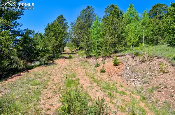 Cripple Creek, CO 80813,Unknown