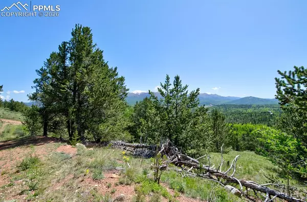 Cripple Creek, CO 80813,Unknown