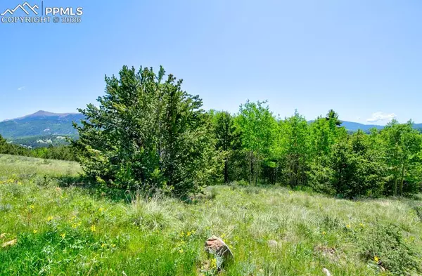 Cripple Creek, CO 80813,Unknown