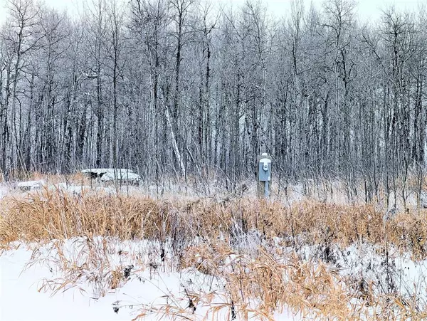 La Broquerie, MB R0A 0W1,62 Amanda LN