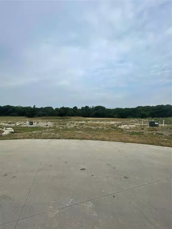 Fairview, TX 75069,331 Broadwing Drive