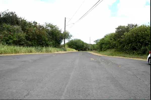 Naalehu, HI 96772,KANALOA PL