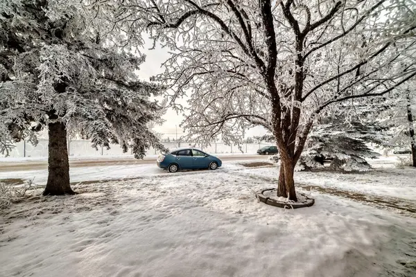 Calgary, AB T3J1A9,203 Falwood WAY NE