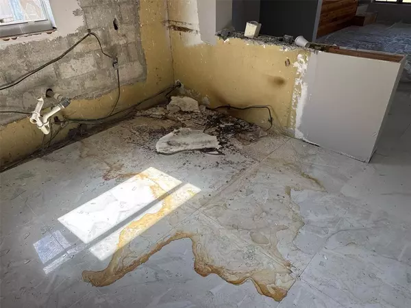 Fort Lauderdale, FL 33317,1390 SW 49th Ter