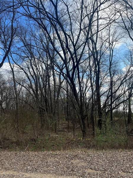 N/A Jackson Avenue, Roxton, TX 75477