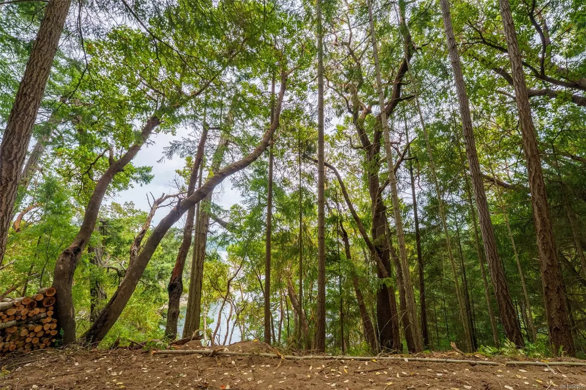 Ruxton Island, BC 000 000,Lot 19 Ruxton Island