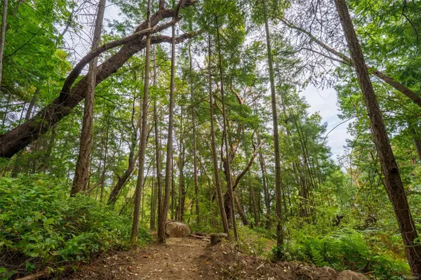 Ruxton Island, BC 000 000,Lot 19 Ruxton Island