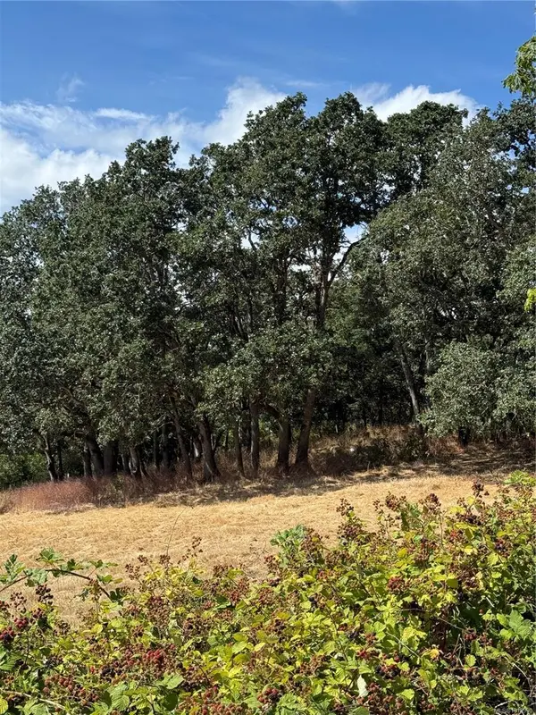 Saanich, BC V8Z 5K1,3876 Holland Ave