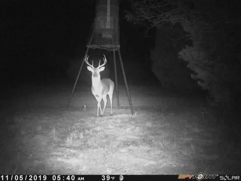 Carlton, TX 76436,TBD County Road 382