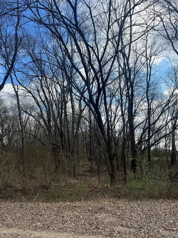 N/A Jackson Avenue, Roxton, TX 75477