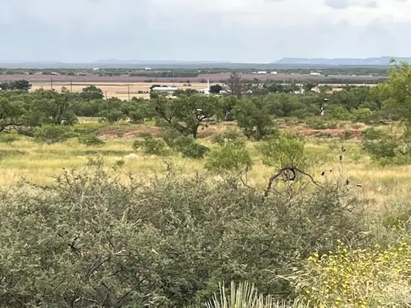 TBD3 County Road 405, Merkel, TX 79536