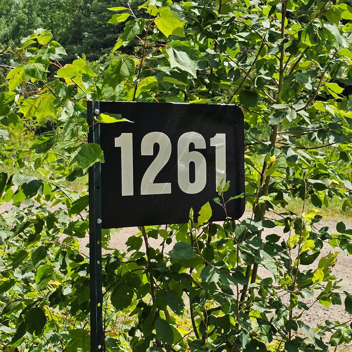 Mattawan, ON P0H 1V0,1261 SNAKE CREEK RD