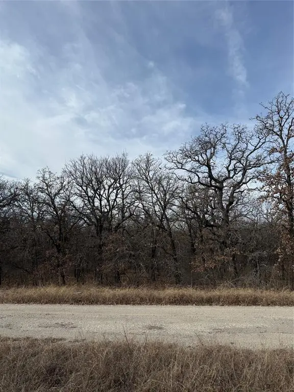 Runaway Bay, TX 76426,0 Lindsey Lane