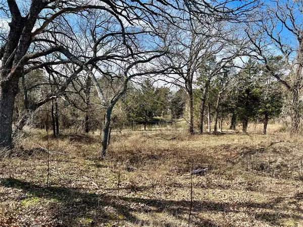 Nocona, TX 76255,0 Blackjack Parkway