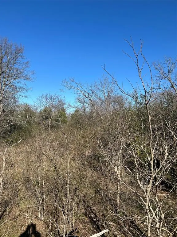 Ladonia, TX 75449,TBD Eastman