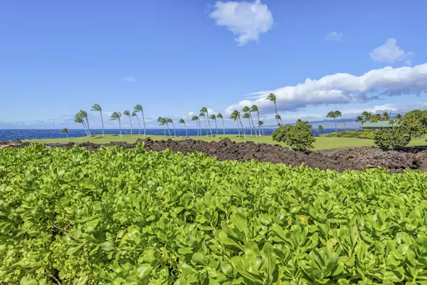 Kamuela, HI 96743,68-1050 MAUNA LANI POINT DRIVE #B102