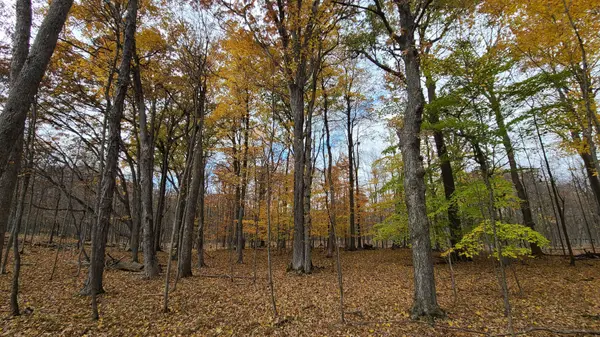 124 Fuller RD W, Frontenac Islands, ON K7G 2V6