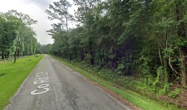 Liberty, TX 77575,lot3 County Road 129