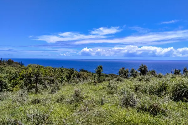 Ninole, HI 96773,32-351 KAPENA RD