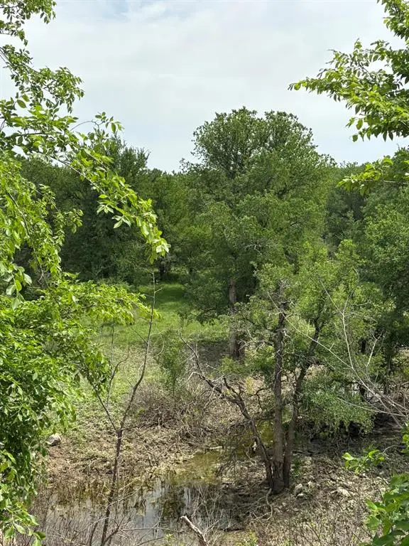 Jacksboro, TX 76458,TBD Causeway Road