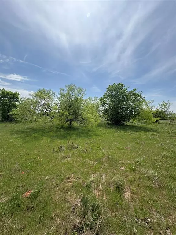 Jacksboro, TX 76458,TBD Causeway Road