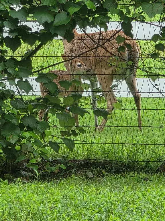 Granbury, TX 76049,9801 Bellechase Road