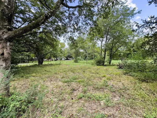 Bonham, TX 75418,000 LOT 2 Smith Street