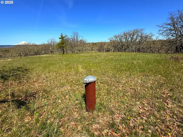 Lyle, WA 98635,Centerville Hwy Lot3