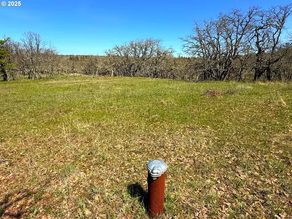 Lyle, WA 98635,Centerville Hwy Lot3