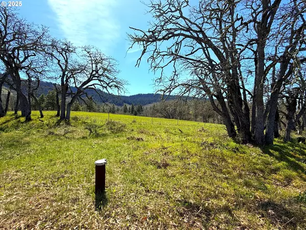 Lyle, WA 98635,Centerville Hwy Lot3