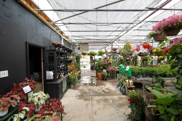 Douro-dummer, ON K0L 2H0,4115 County Rd 32 N/A